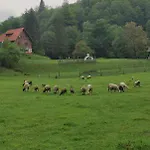 Treehouse Kupari Nacionalni Park Risnjak * Čabar
