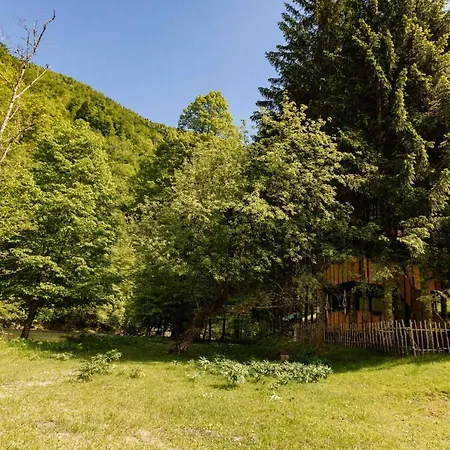 Treehouse Kupari Nacionalni Park Risnjak *