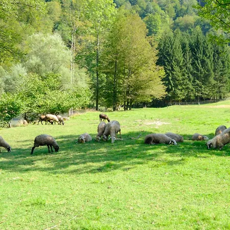 Treehouse Kupari Nacionalni Park Risnjak 营地 Cabar