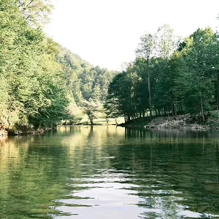 Campsite Treehouse Kupari Nacionalni Park Risnjak