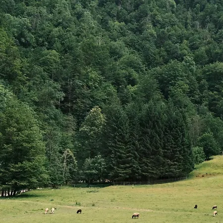 Treehouse Kupari Nacionalni Park Risnjak Campsite