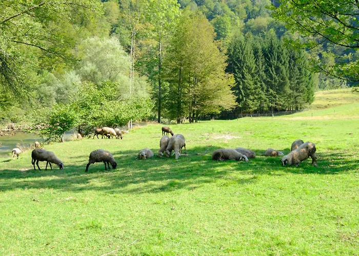 Treehouse Kupari Nacionalni Park Risnjak Camping Cabar