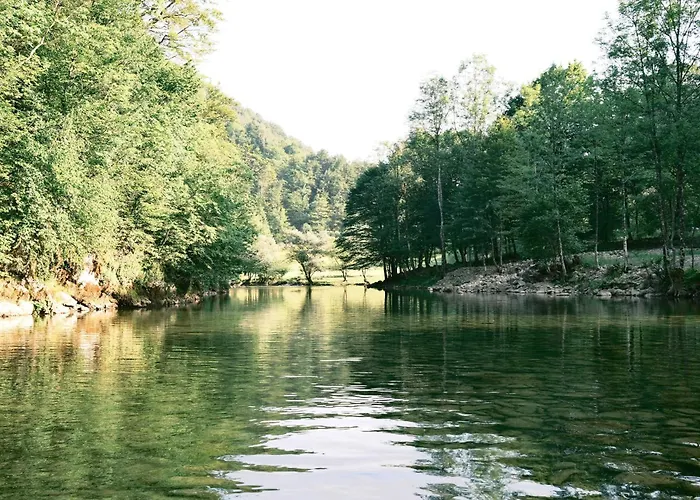 Camping Treehouse Kupari Nacionalni Park Risnjak