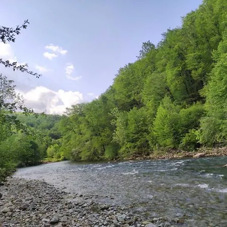 Treehouse Kupari Nacionalni Park Risnjak Camping