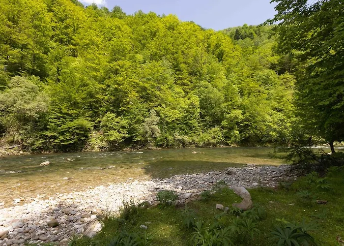 Kemping Treehouse Kupari Nacionalni Park Risnjak
